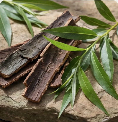 Lactic Acid + Willow Bark