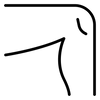 الركب